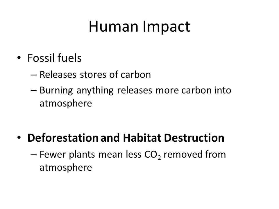 Human Impact Fossil fuels – Releases stores of carbon – Burning anything releases more carbon into atmosphere Deforestation and Habitat Destruction – Fewer plants mean less CO 2 removed from atmosphere