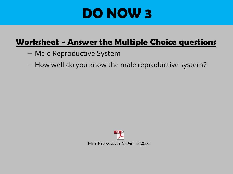 Goals Identify The Structures And Functions Of Male 16 Do Now 3 Worksheet Answer The Multiple Choice Questions Male Reproductive System How Well You Know