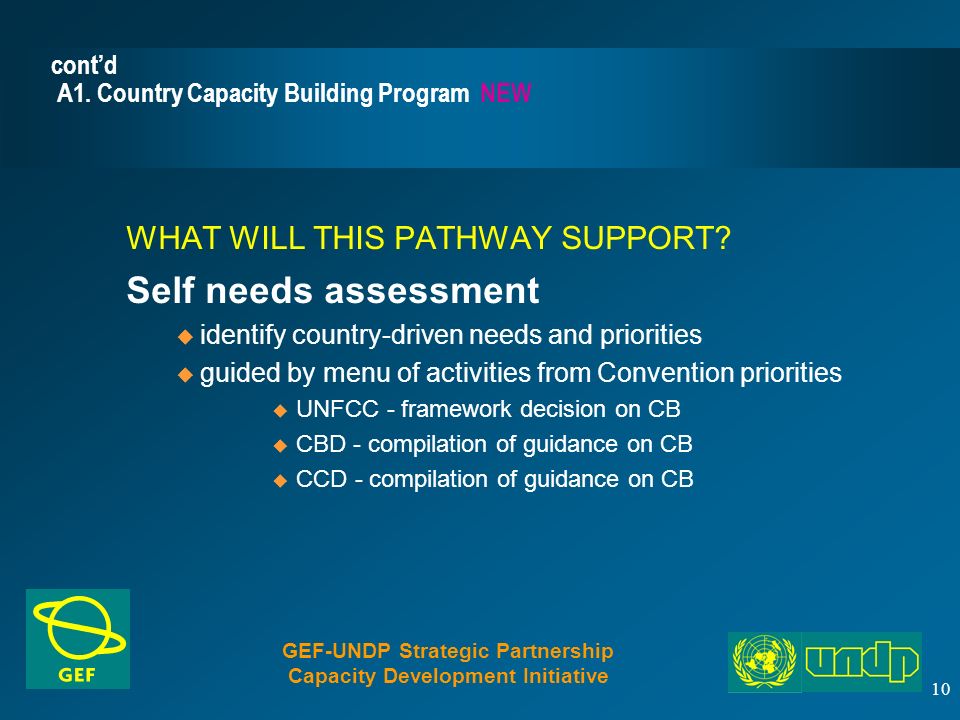 10 cont’d A1. Country Capacity Building Program NEW WHAT WILL THIS PATHWAY SUPPORT.