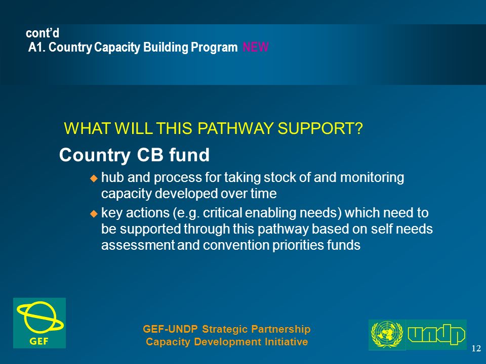 12 cont’d A1. Country Capacity Building Program NEW WHAT WILL THIS PATHWAY SUPPORT.