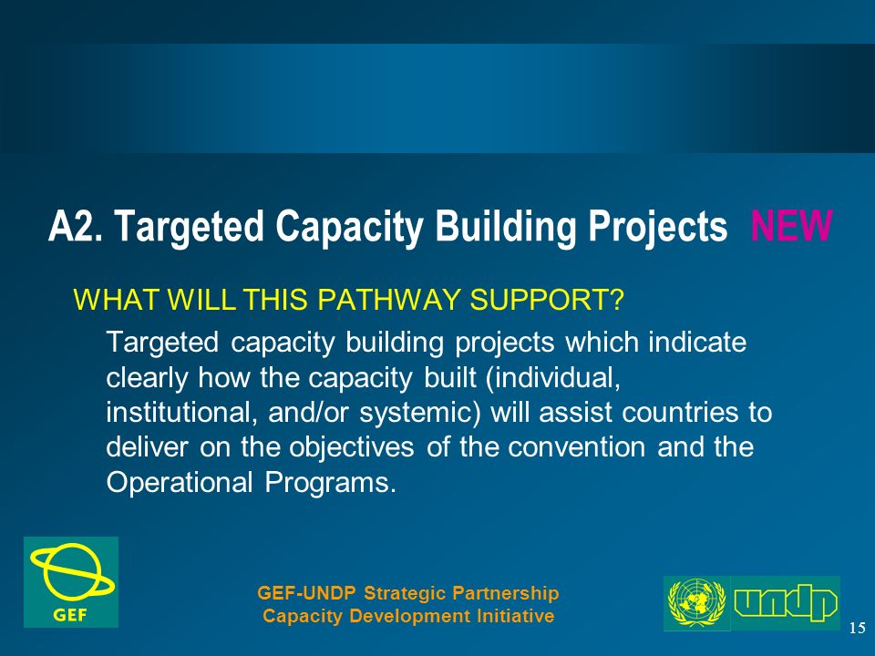 15 A2. Targeted Capacity Building Projects NEW WHAT WILL THIS PATHWAY SUPPORT.