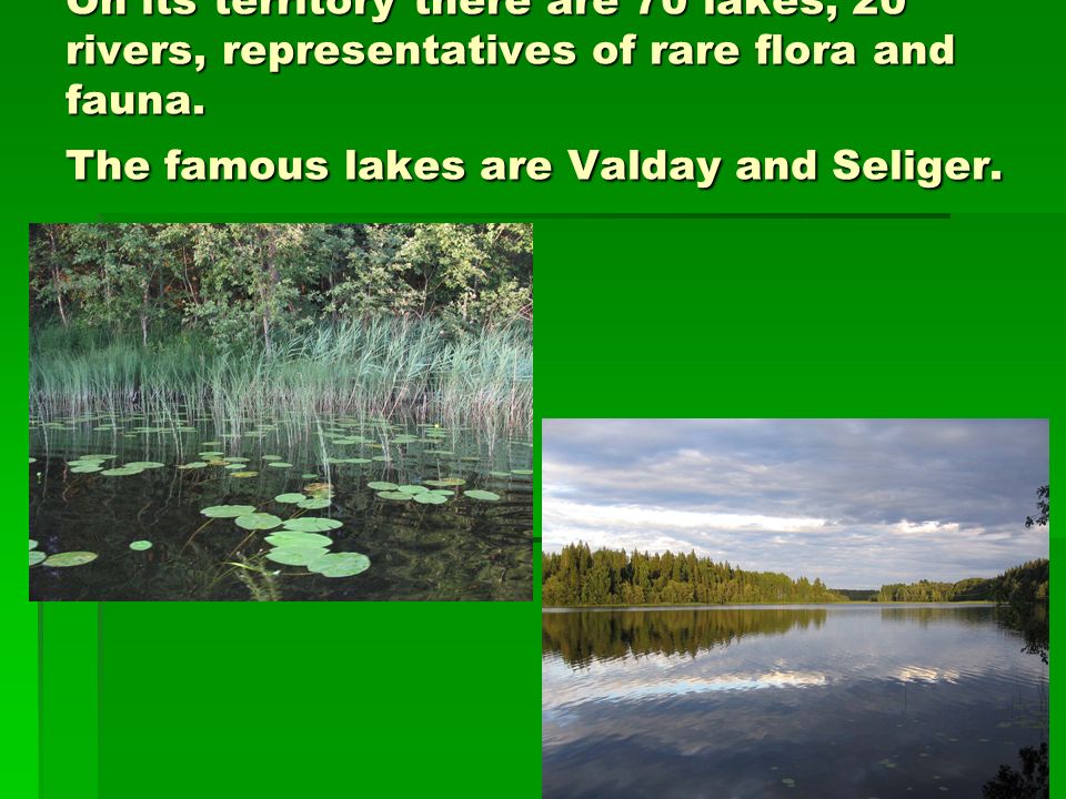 On its territory there are 70 lakes, 20 rivers, representatives of rare flora and fauna.