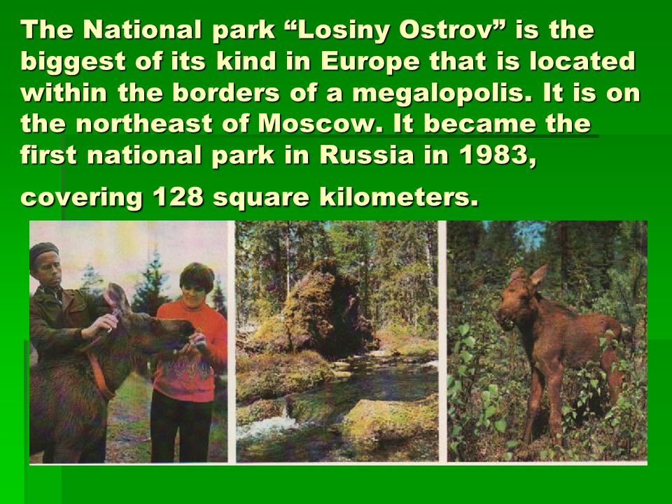The National park Losiny Ostrov is the biggest of its kind in Europe that is located within the borders of a megalopolis.