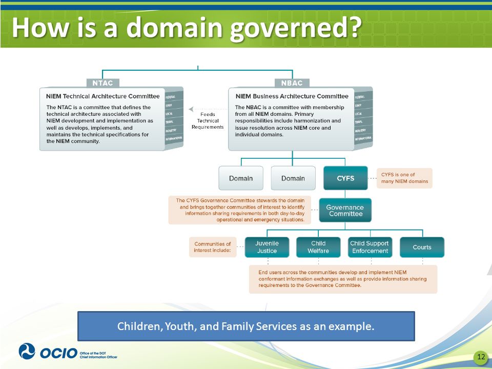 How is a domain governed 12 Children, Youth, and Family Services as an example.
