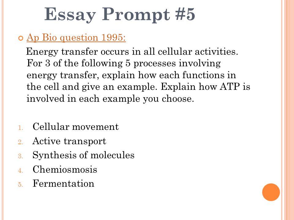 Cell and molecular biology essay questions
