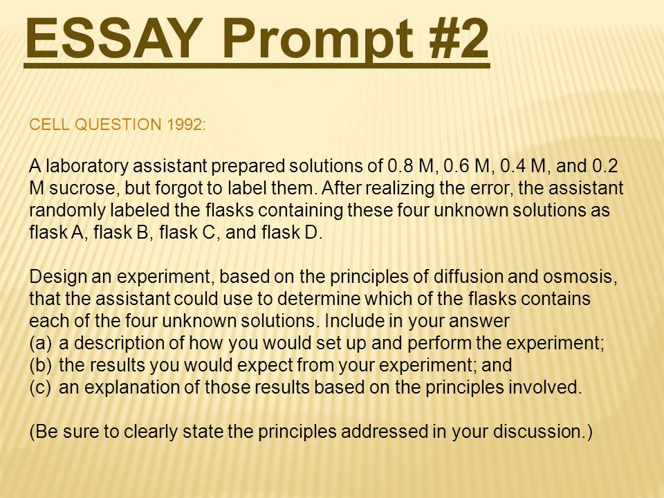 essay question grading rubric essay question grading rubric