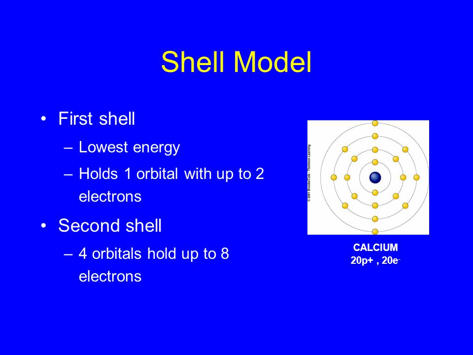 Shell Model First shell –Lowest energy –Holds 1 orbital with up to 2 electrons Second shell –4 orbitals hold up to 8 electrons CALCIUM 20p+, 20e -