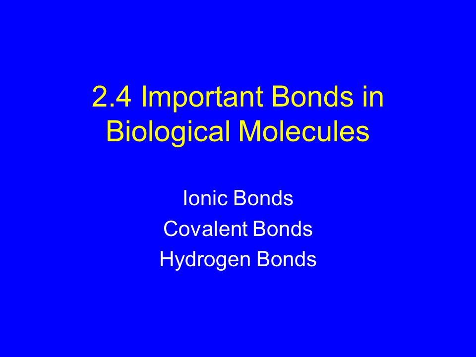 2.4 Important Bonds in Biological Molecules Ionic Bonds Covalent Bonds Hydrogen Bonds