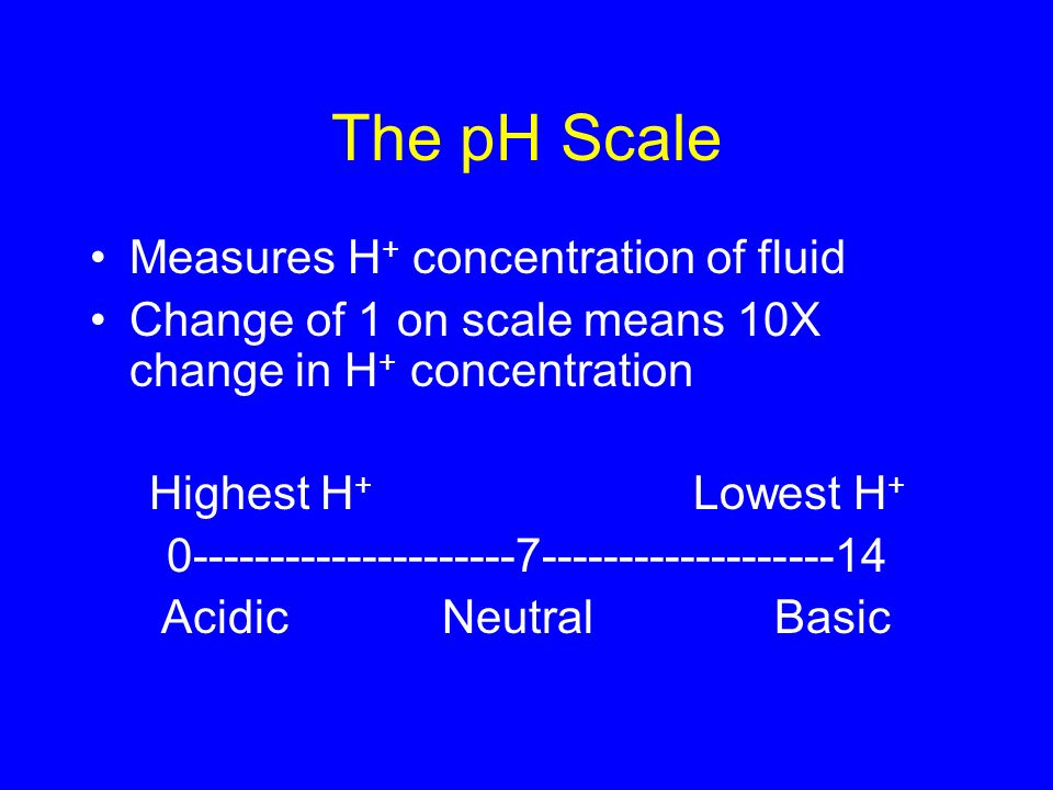 The pH Scale Measures H + concentration of fluid Change of 1 on scale means 10X change in H + concentration Highest H + Lowest H Acidic Neutral Basic