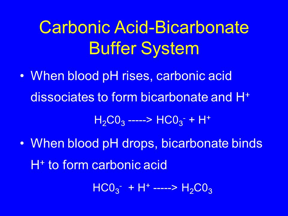 Carbonic Acid-Bicarbonate Buffer System When blood pH rises, carbonic acid dissociates to form bicarbonate and H + H 2 C > HC H + When blood pH drops, bicarbonate binds H + to form carbonic acid HC H > H 2 C0 3