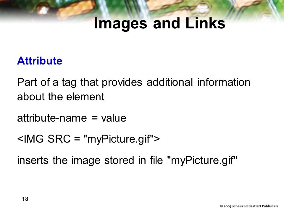 18 Images and Links Attribute Part of a tag that provides additional information about the element attribute-name = value inserts the image stored in file myPicture.gif