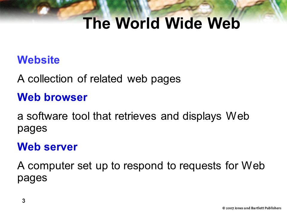 3 The World Wide Web Website A collection of related web pages Web browser a software tool that retrieves and displays Web pages Web server A computer set up to respond to requests for Web pages