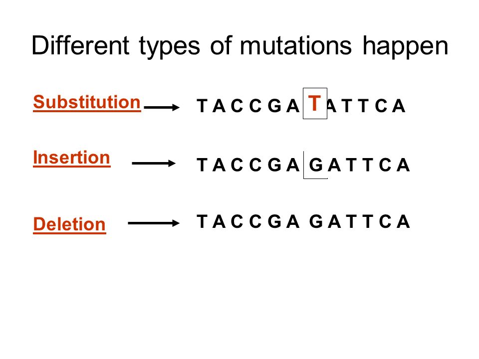 Chromosome Mutation Worksheet Rringband Worksheets On Mutations The Best And Most Comprehensive
