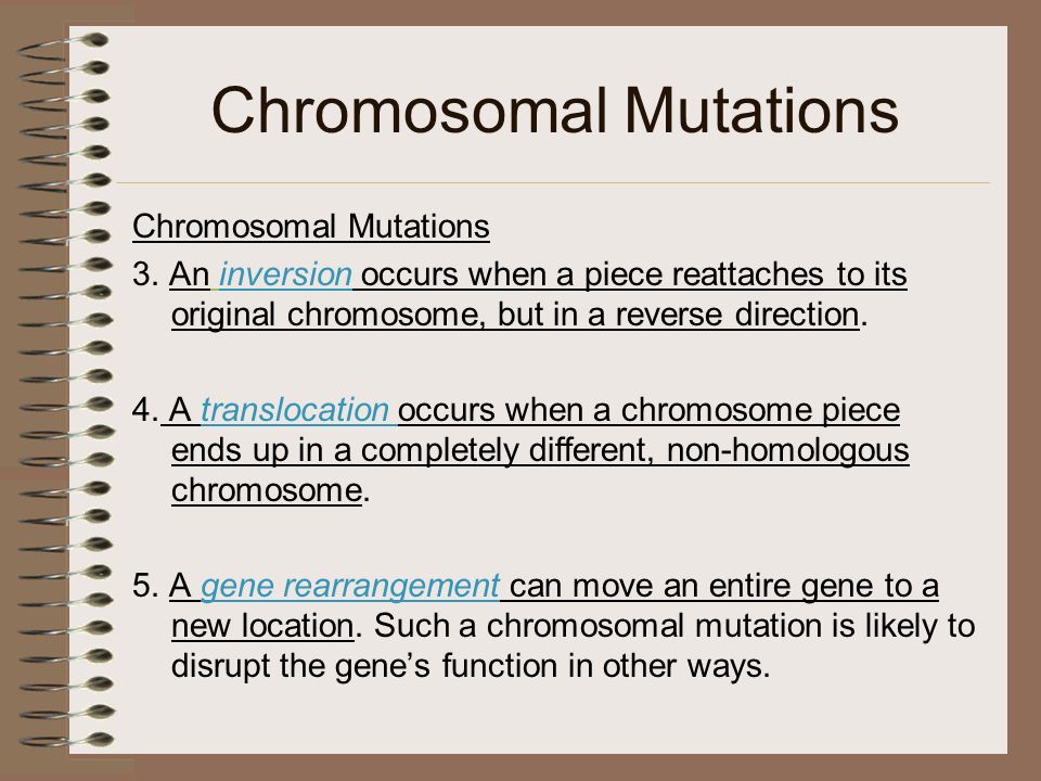 Gene Action Mutation Worksheet Answers Mutations Homework Answers Genetic Mutation Worksheet Point Pleasant Beach Genetics X Linked