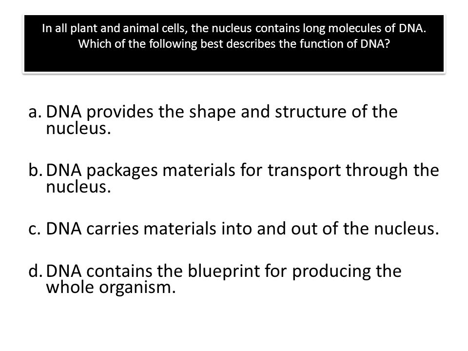 Worksheets Dna The Molecule Of Heredity Worksheet Key dna the molecule of heredity review answer following list in all plant and animal cells nucleus contains long molecules which