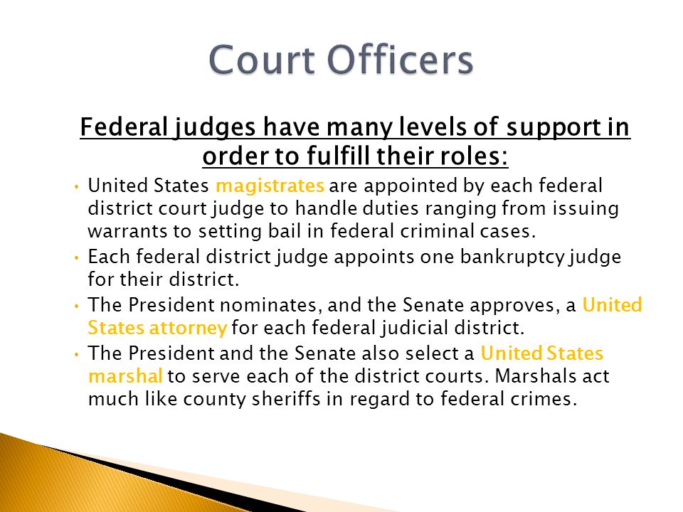 Federal judges have many levels of support in order to fulfill their roles: United States magistrates are appointed by each federal district court judge to handle duties ranging from issuing warrants to setting bail in federal criminal cases.