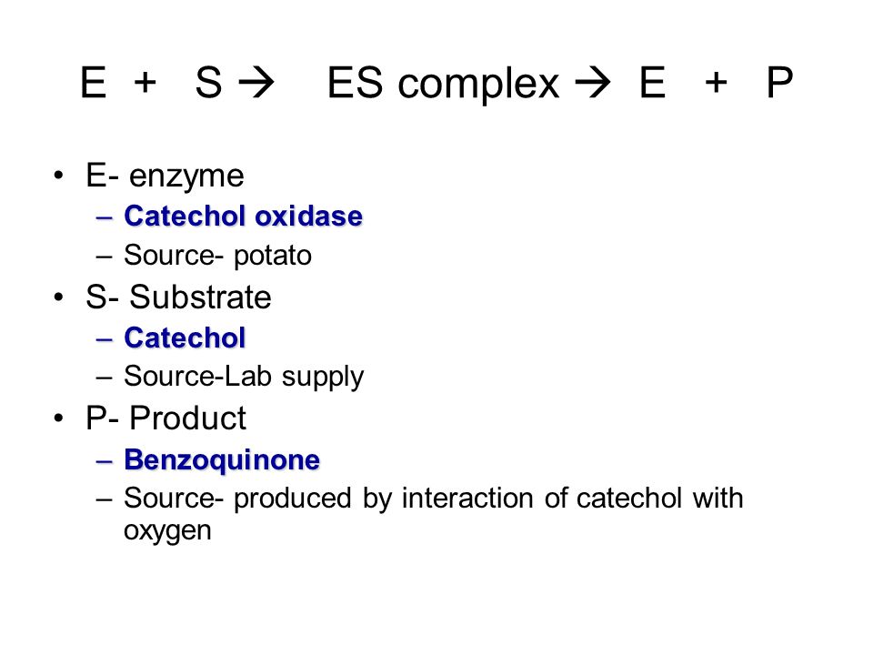 the effect of the enzyme catecholase on the catalysis of catechol to benzoquinone essay Catecholase enzyme essay catecholase experiment with potato catecholase-catalyzed experiment catecholase in apples compare search ( please select at least 2. the effect of the enzyme catecholase on the catalysis of catechol to benzoquinone essay Catecholase enzyme essay catecholase experiment with potato catecholase-catalyzed experiment catecholase in apples compare search ( please select at least 2.