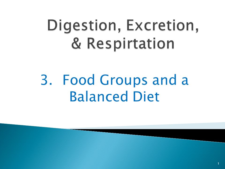 3.Food Groups and a Balanced Diet 1