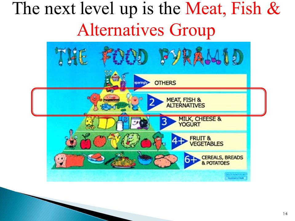 The next level up is the Meat, Fish & Alternatives Group 14