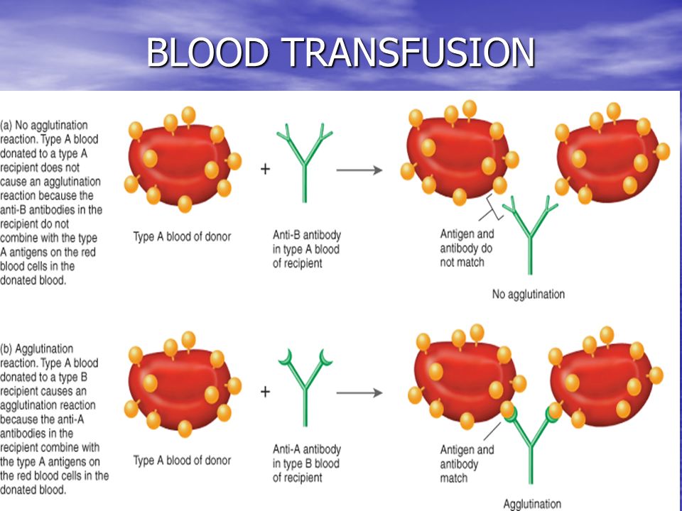 25 BLOOD TRANSFUSION