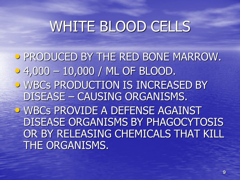 9 WHITE BLOOD CELLS PRODUCED BY THE RED BONE MARROW.