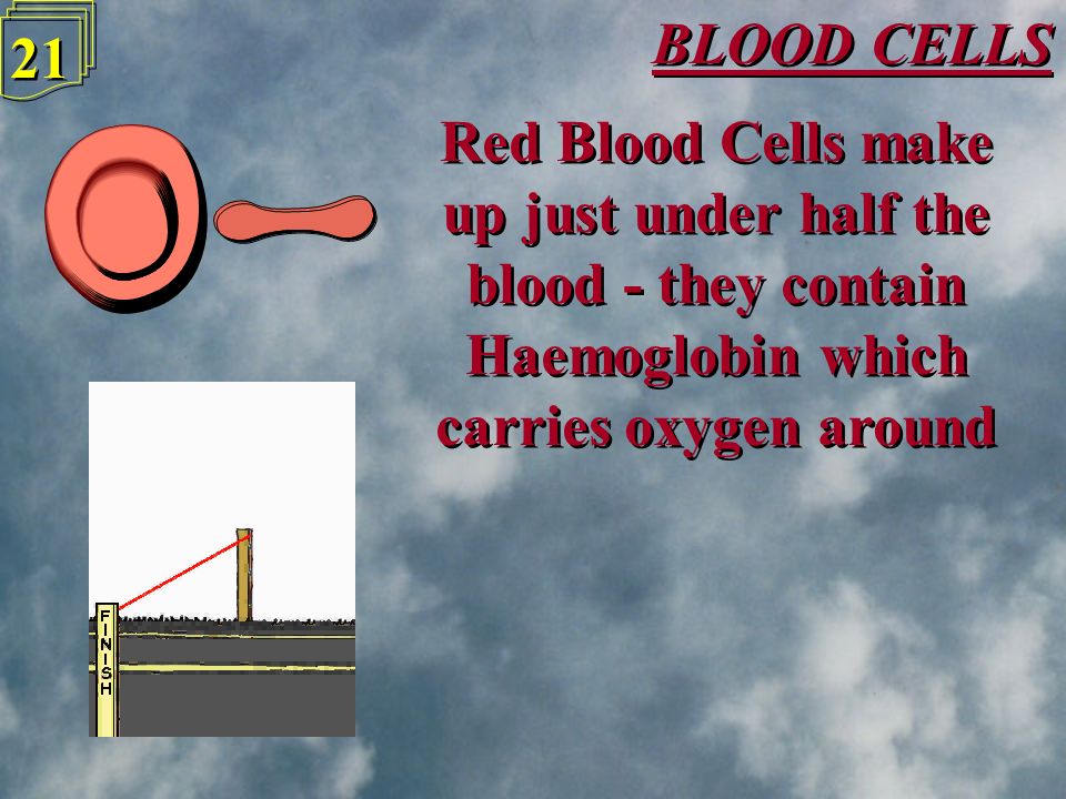 BLOOD CELLS 20