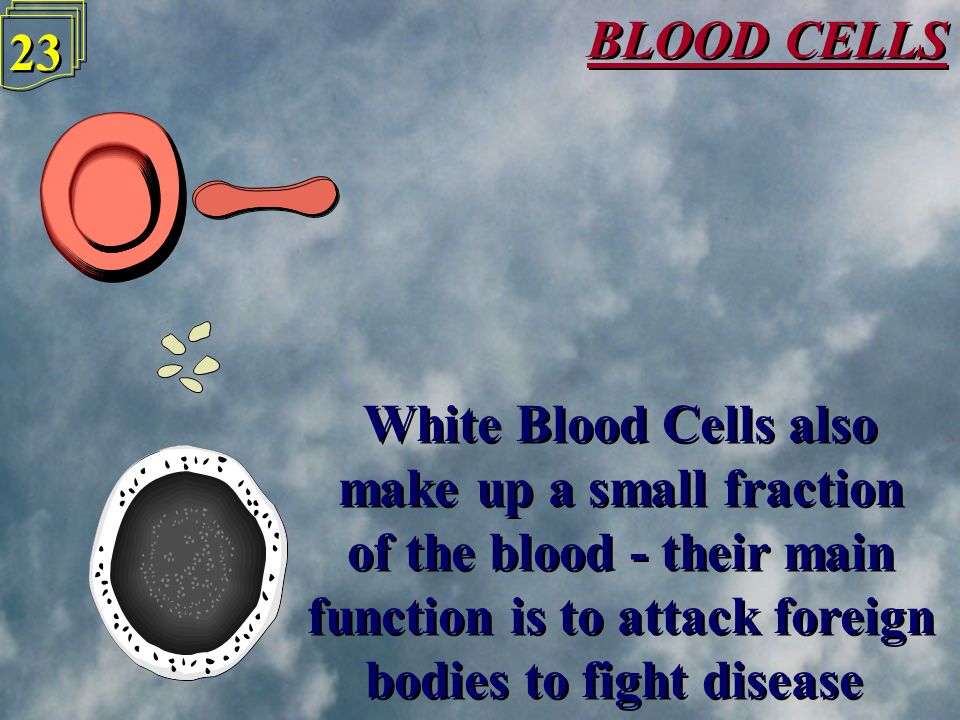 BLOOD CELLS 22 A small fraction of blood is Platelets - these are fragments of cells which can clot the blood to patch up any cuts A small fraction of blood is Platelets - these are fragments of cells which can clot the blood to patch up any cuts