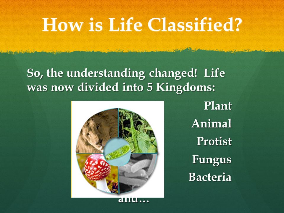How is Life Classified. So, the understanding changed.