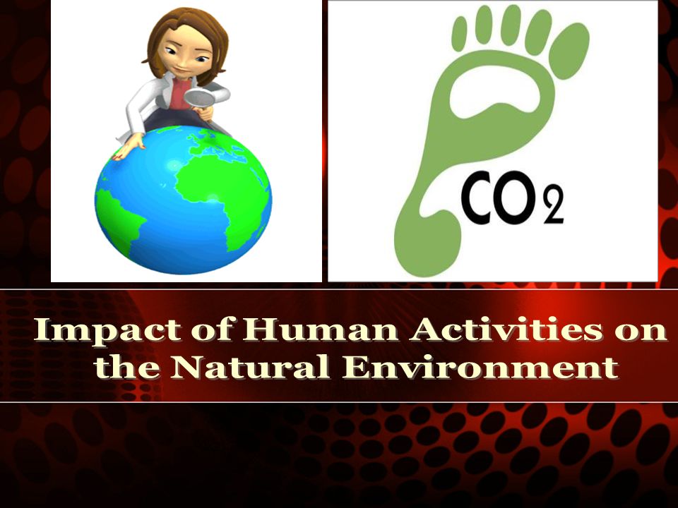 the impact of human activities on the impact of human activities on