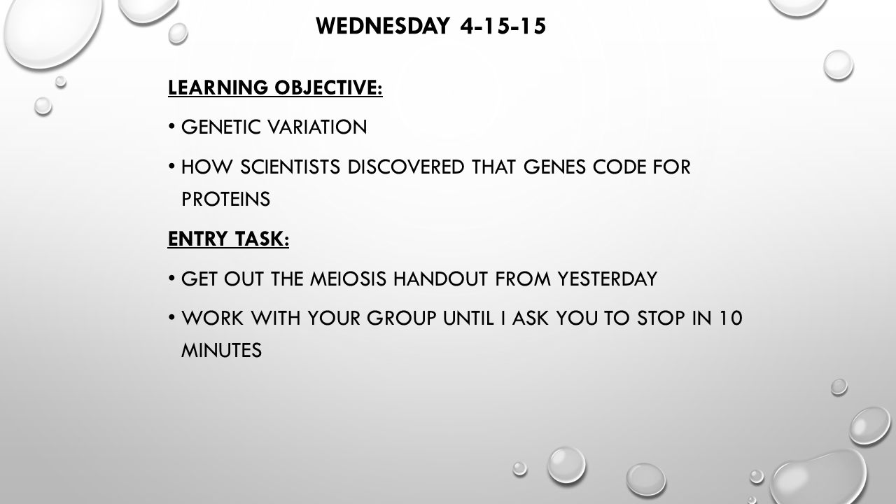 worksheet Genetic Variation Worksheet wednesday learning objective genetic variation how scientists 1 wednesday