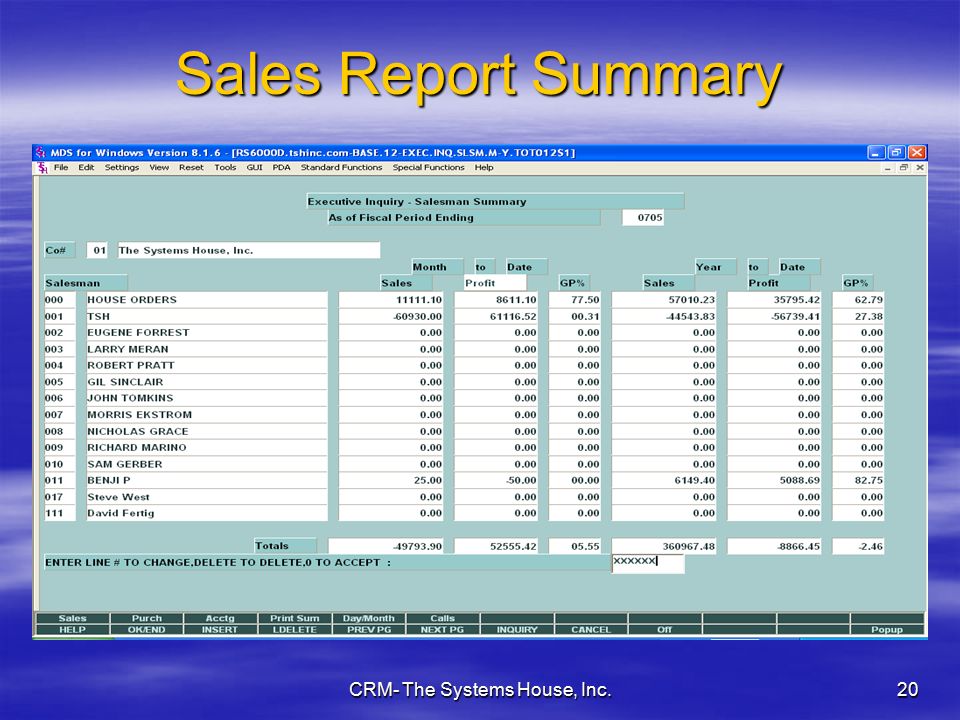 CRM- The Systems House, Inc.20 Sales Report Summary