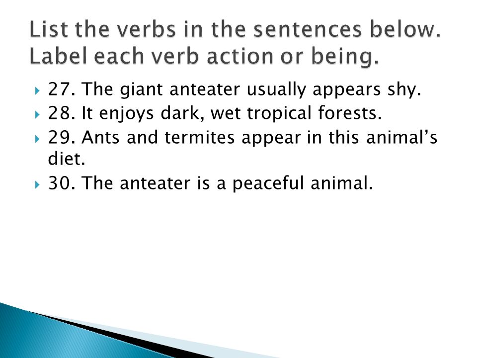  27. The giant anteater usually appears shy.  28.