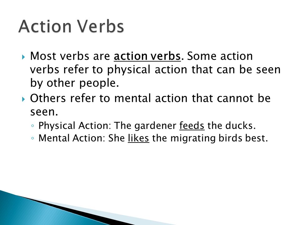  Most verbs are action verbs.