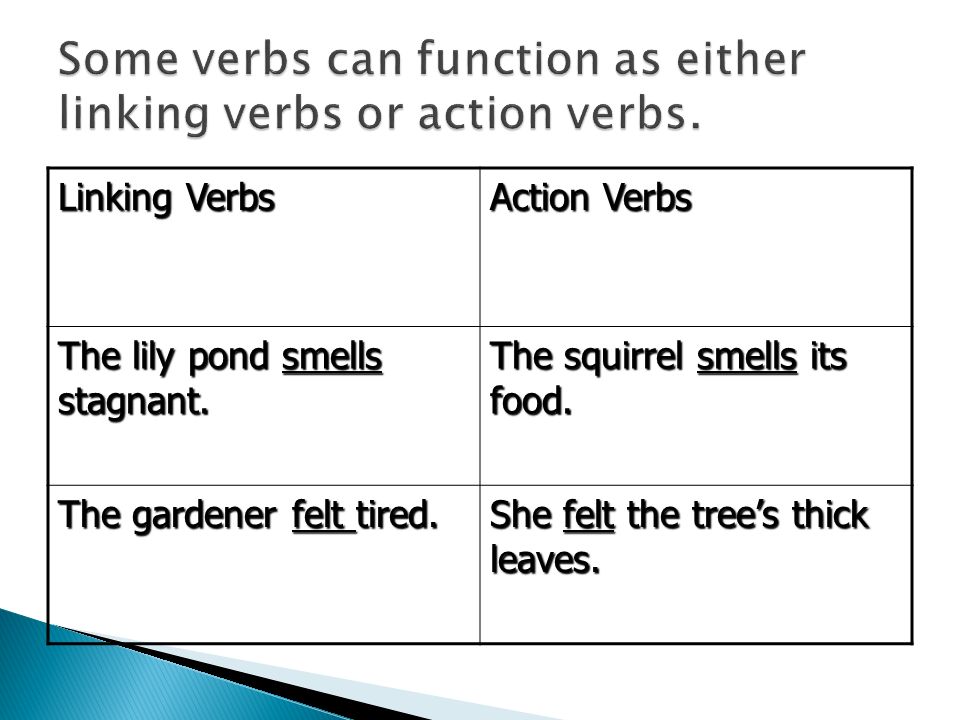 Linking Verbs Action Verbs The lily pond smells stagnant.
