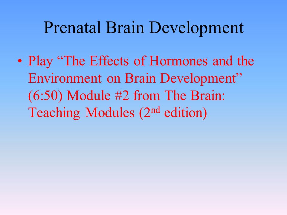 Prenatal Brain Development Play The Effects of Hormones and the Environment on Brain Development (6:50) Module #2 from The Brain: Teaching Modules (2 nd edition)