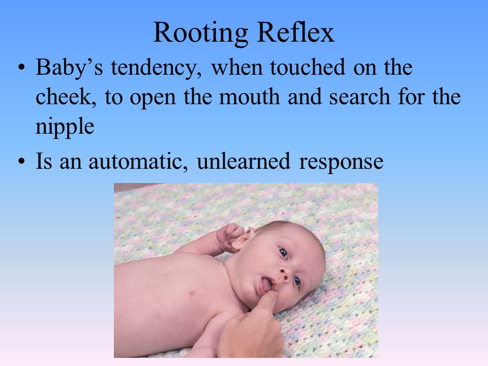 Rooting Reflex Baby’s tendency, when touched on the cheek, to open the mouth and search for the nipple Is an automatic, unlearned response
