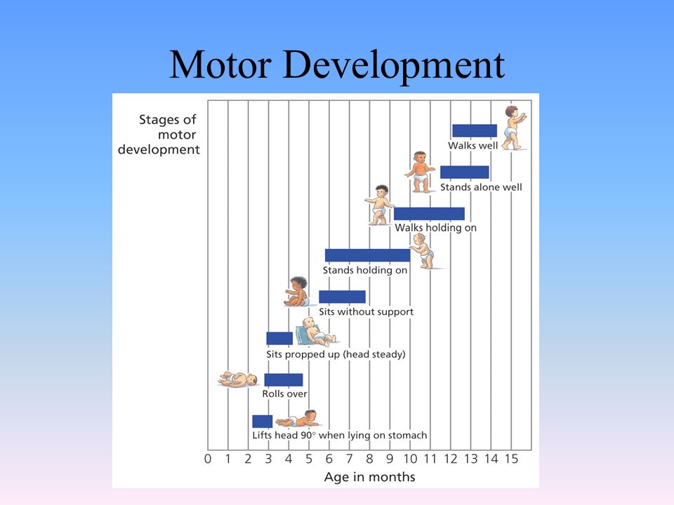 Motor Development