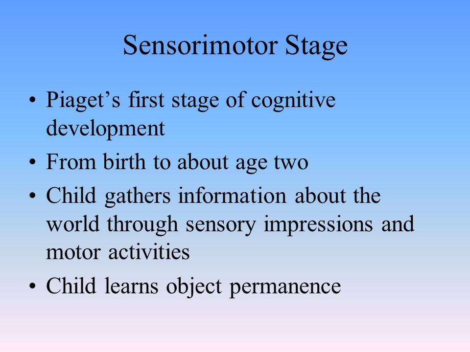 Sensorimotor Stage Piaget’s first stage of cognitive development From birth to about age two Child gathers information about the world through sensory impressions and motor activities Child learns object permanence