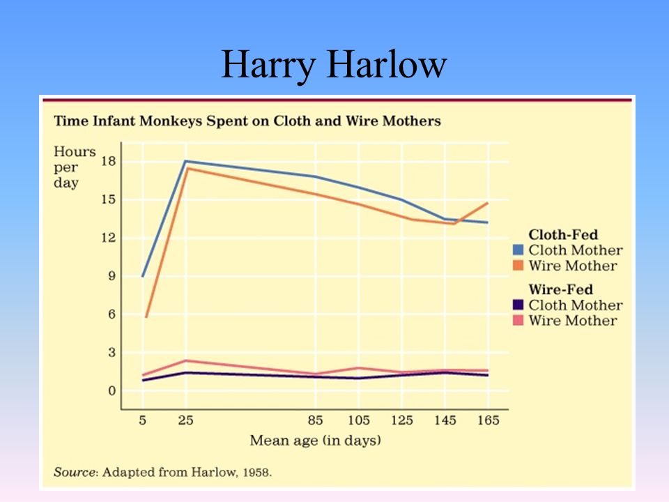Harry Harlow