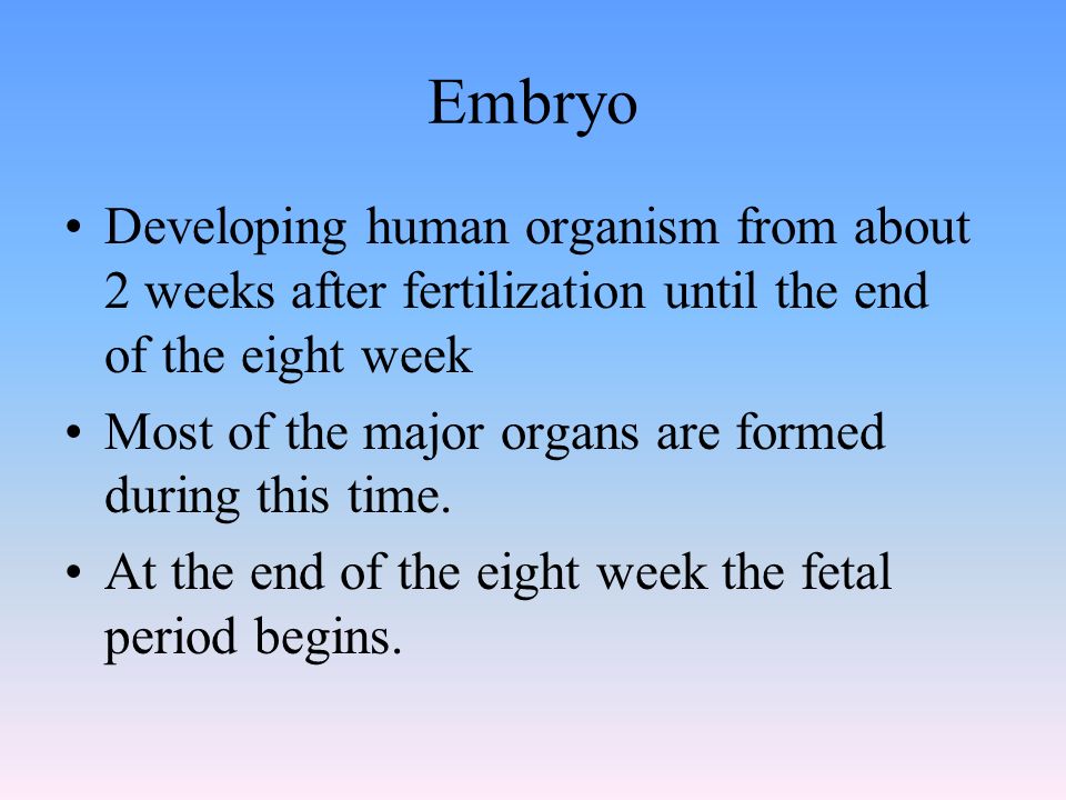 Embryo Developing human organism from about 2 weeks after fertilization until the end of the eight week Most of the major organs are formed during this time.