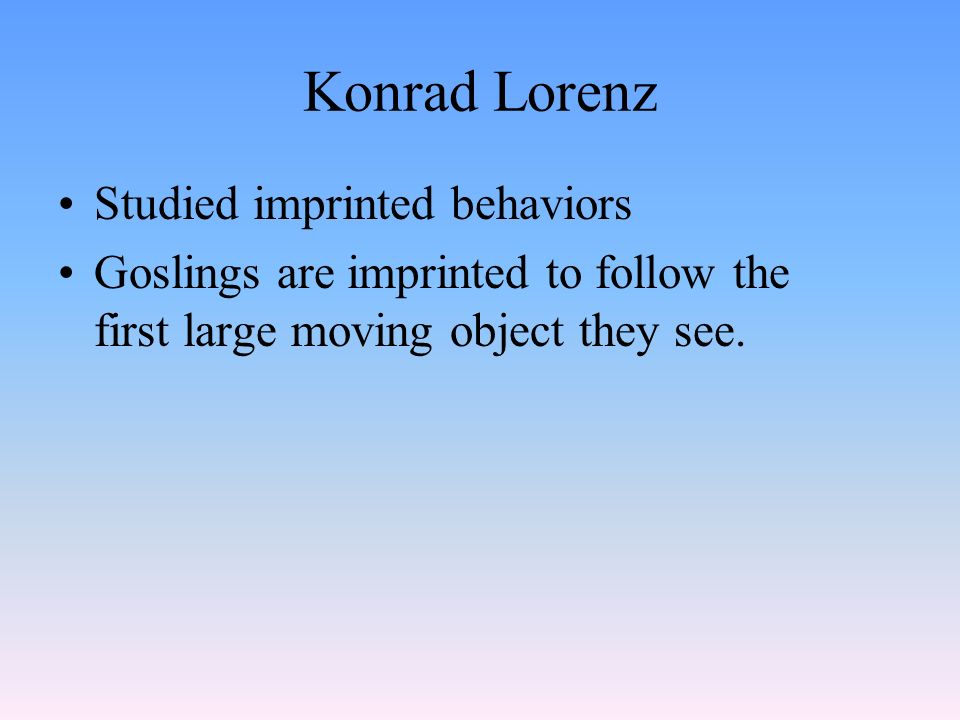 Konrad Lorenz Studied imprinted behaviors Goslings are imprinted to follow the first large moving object they see.