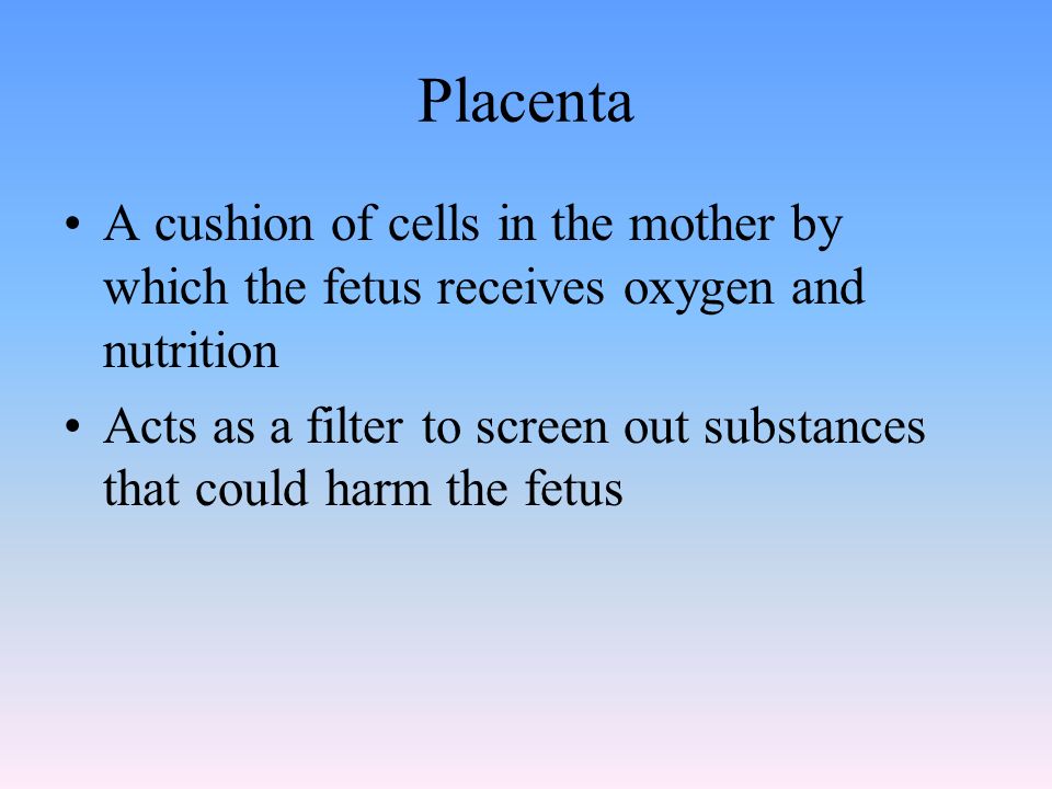 Placenta A cushion of cells in the mother by which the fetus receives oxygen and nutrition Acts as a filter to screen out substances that could harm the fetus