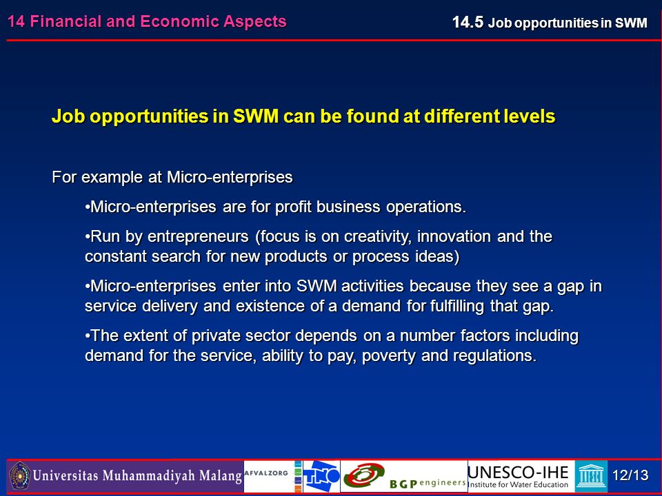 14 Financial and Economic Aspects 12/13 Job opportunities in SWM can be found at different levels For example at Micro-enterprises Micro-enterprises are for profit business operations.Micro-enterprises are for profit business operations.