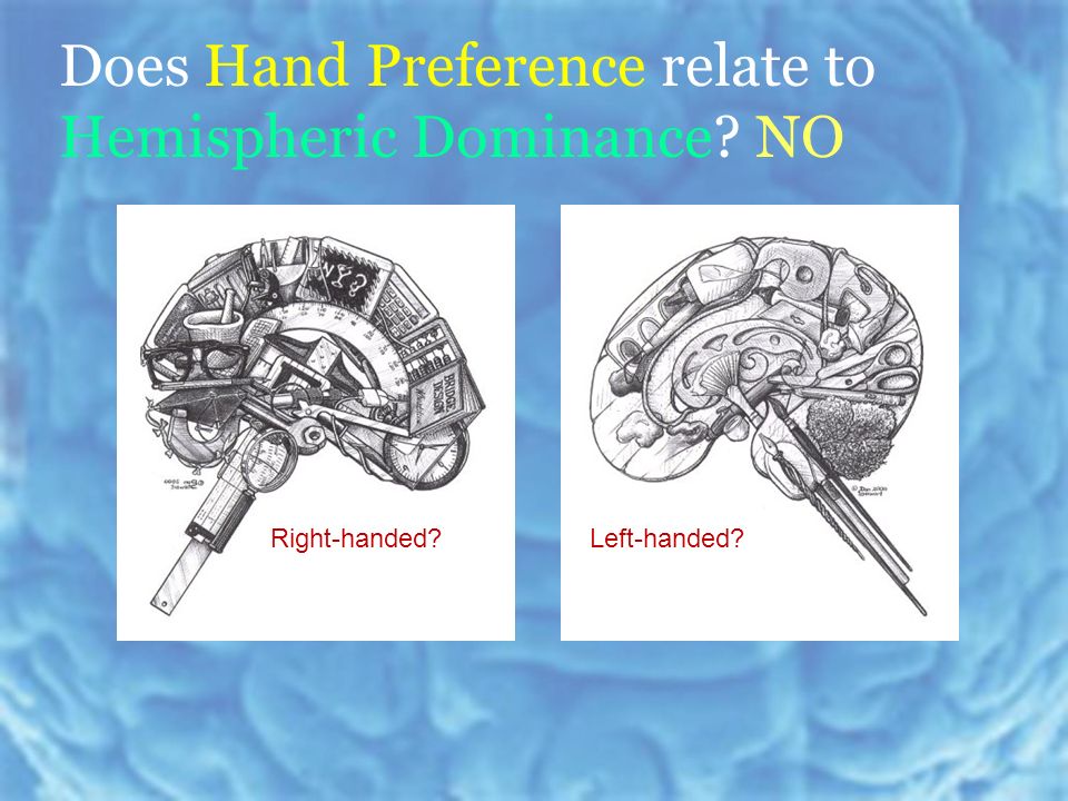Does Hand Preference relate to Hemispheric Dominance NO Right-handed Left-handed