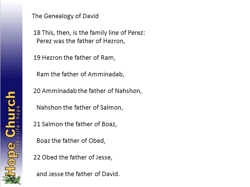 The Genealogy of David 18 This, then, is the family line of Perez: Perez was the father of Hezron, 19 Hezron the father of Ram, Ram the father of Amminadab, 20 Amminadab the father of Nahshon, Nahshon the father of Salmon, 21 Salmon the father of Boaz, Boaz the father of Obed, 22 Obed the father of Jesse, and Jesse the father of David.