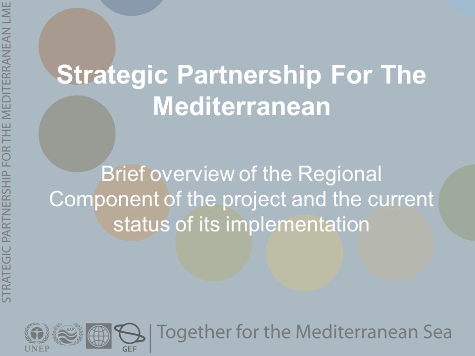 Strategic Partnership For The Mediterranean Brief overview of the Regional Component of the project and the current status of its implementation