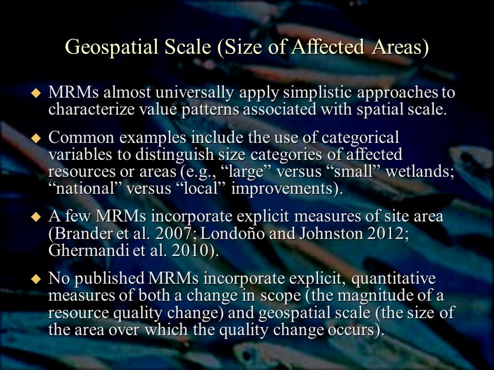 Geospatial Scale (Size of Affected Areas)  MRMs almost universally apply simplistic approaches to characterize value patterns associated with spatial scale.