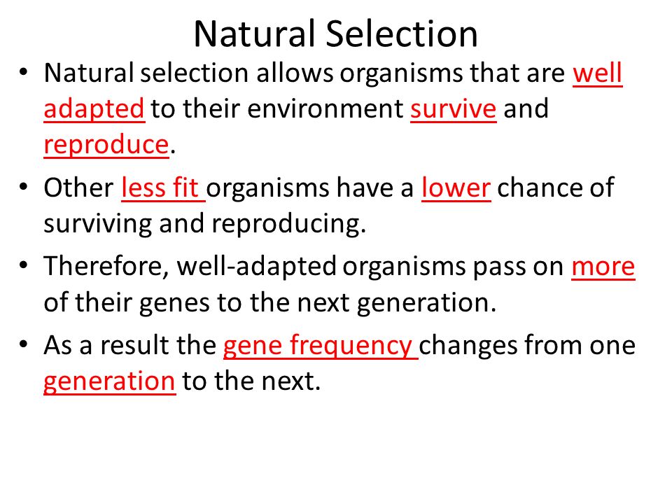 Evolution Through Natural Selection Worksheet Evolution By Natural Selection Worksheet University Of California