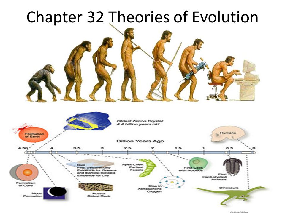 Evolution By Natural Selection Worksheet Answers The Theory Of Evolution By Natural Selection Worksheet Answers