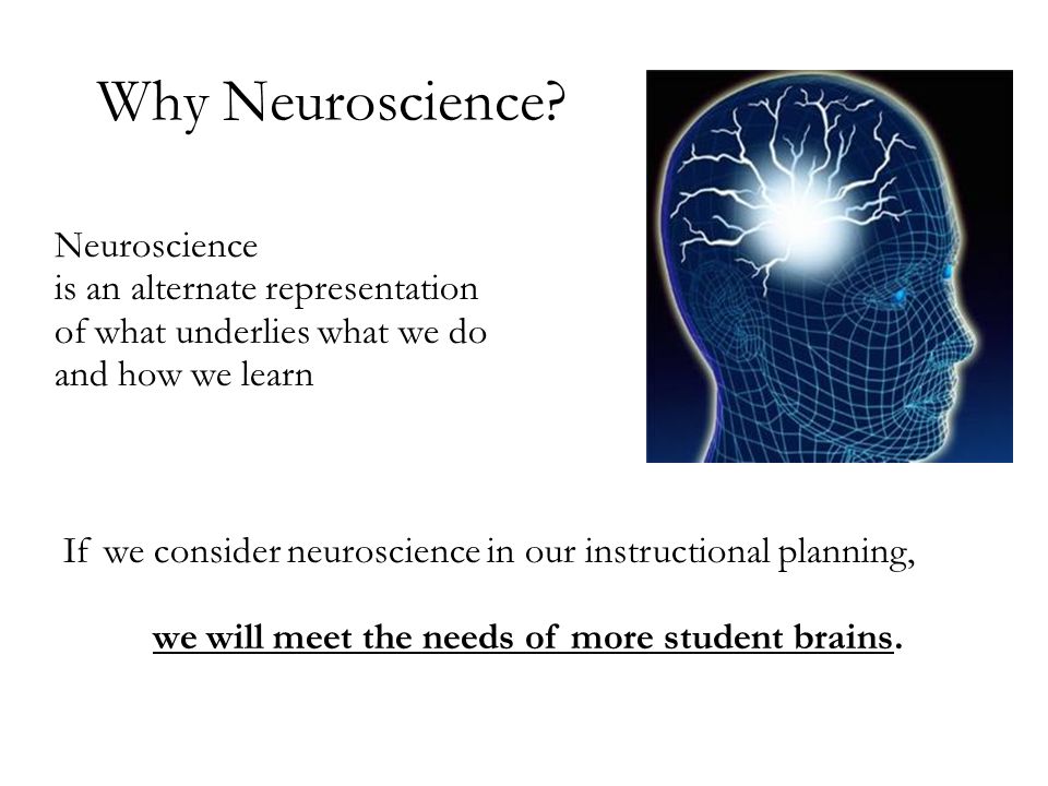 Why Neuroscience.